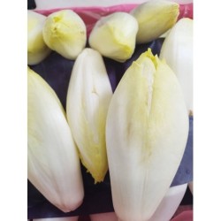 Endives