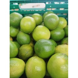 Citrons vert