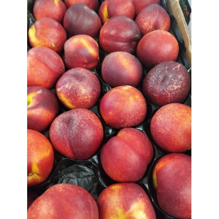 Nectarine PROMO