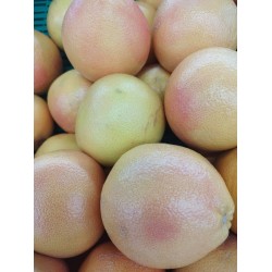 Pomelos